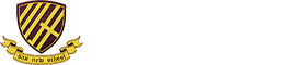 武漢三牛中美中學