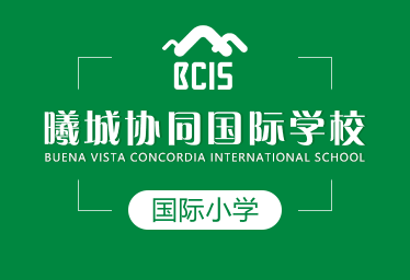 曦城協(xié)同國際學(xué)校國際小學(xué)圖片