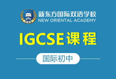 新東方國際初中（IGCSE課程）圖片