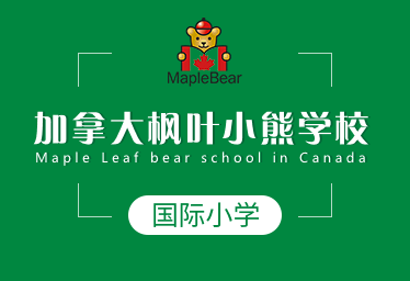 加拿大楓葉小熊學校國際小學圖片
