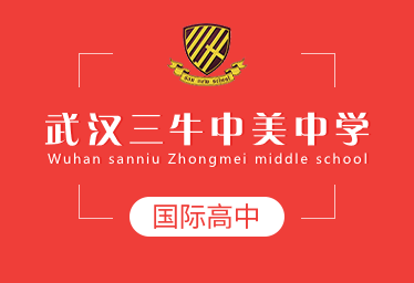 武漢三牛中美中學(xué)國際高中圖片