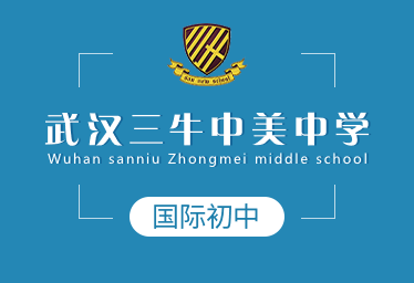 武漢三牛中美中學國際初中圖片