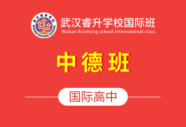 武漢睿升學(xué)校國際高中（中德班）簡章圖片