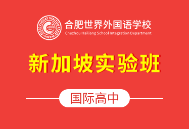 合肥世界外國語學(xué)校國際高中（新加坡實(shí)驗(yàn)班）圖片