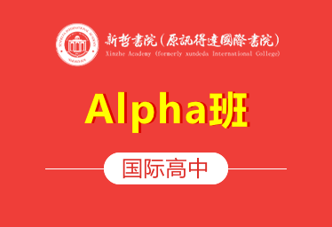 新哲書院國際高中（Alpha班）圖片
