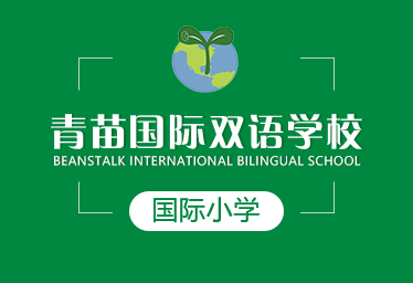 青苗國際雙語學校國際小學圖片