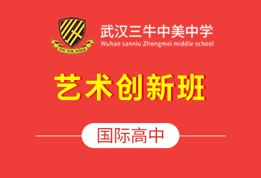 武漢三牛中美中學(xué)高中藝術(shù)創(chuàng)新班簡章圖片
