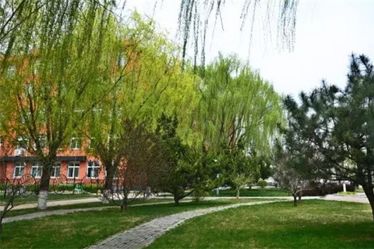 北京市新府學外國語學校校園風景圖集