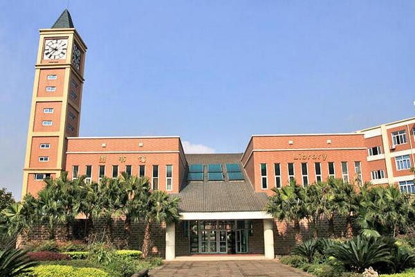 成都美視國(guó)際學(xué)校圖書館圖集