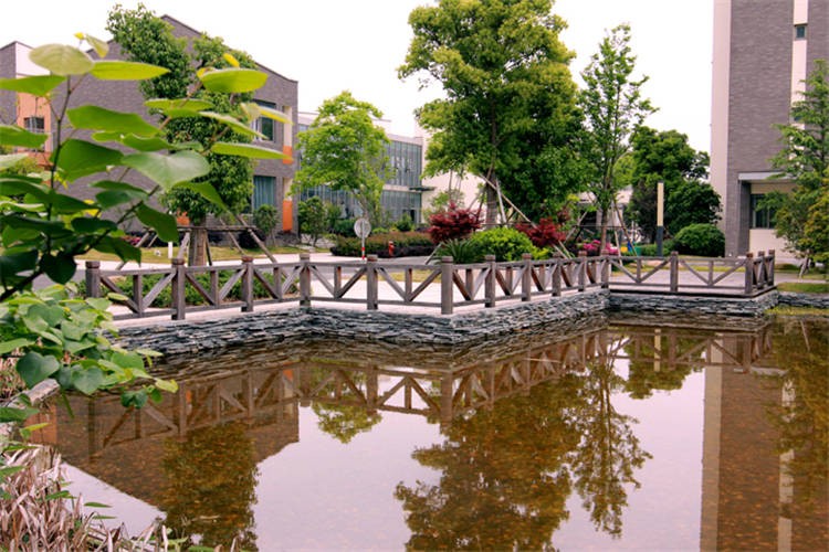 寧波濱海國際合作學(xué)校校園風(fēng)景圖集
