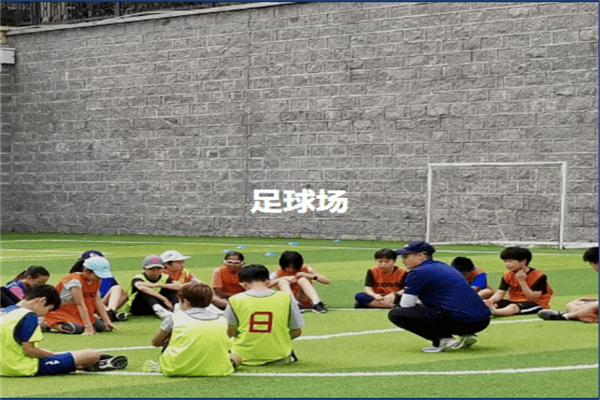 青島MTI國際學(xué)校足球場圖集