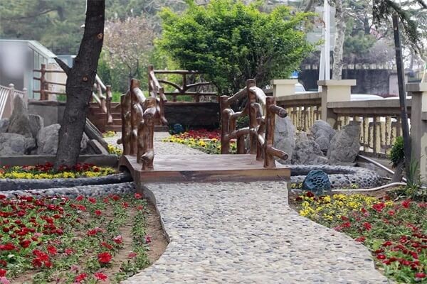 青島圣大公學(xué)室外花園圖集