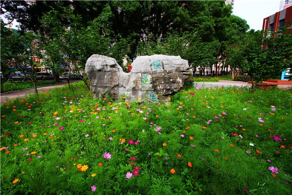 武漢市洪山高級(jí)中學(xué)國際部校園環(huán)境圖集