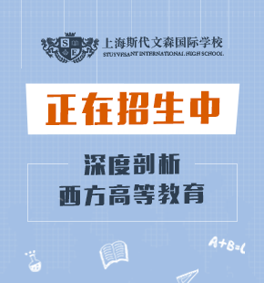 上海斯代文森國際學(xué)校圖片