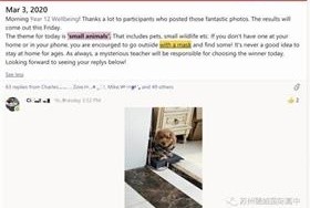 德威學(xué)生會(huì)發(fā)起每日健康挑戰(zhàn) 圖片