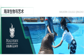 青島墨爾文中學(xué)：夏天，把一切都變成海！圖片