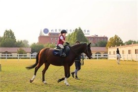 為什么世界名校把體育當成“最好的教育”？圖片