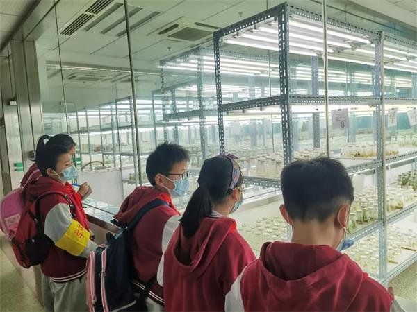 武漢外國語學(xué)校美加分?？萍俭w驗之旅圖片6