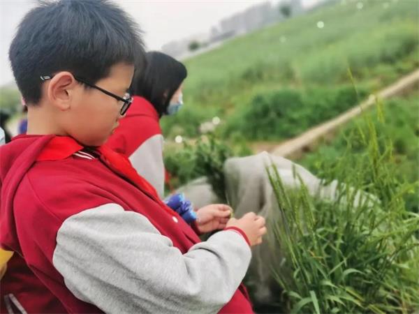 武漢外國語學(xué)校美加分?？萍俭w驗之旅圖片10