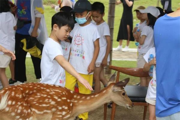 肇慶加美學(xué)校小學(xué)部2021“英科實(shí)踐”夏令營圖片3