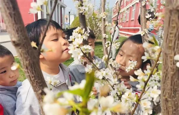 愛迪小學(xué)主題探究圖片1