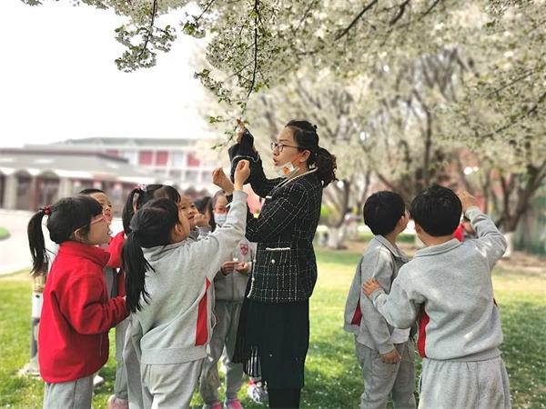 愛迪小學(xué)主題探究圖片3