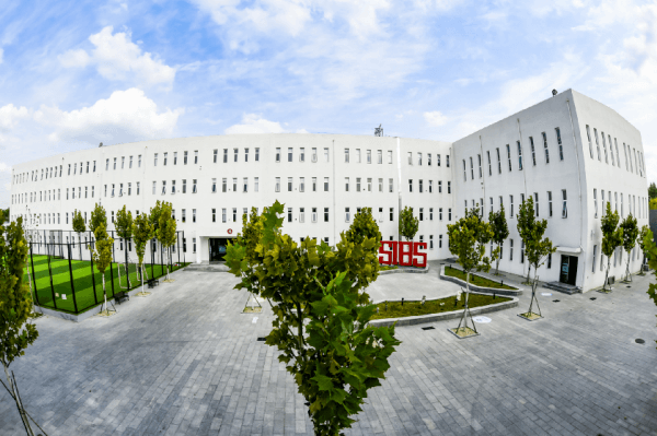 北京君誠(chéng)學(xué)校正式獲得國(guó)際文憑組織IB PYP課程全球官方認(rèn)證02